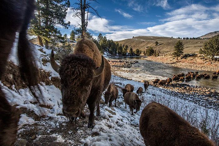 This Is Why You Need To Start Following National Geographic On Instagram Right Away (31 pics)