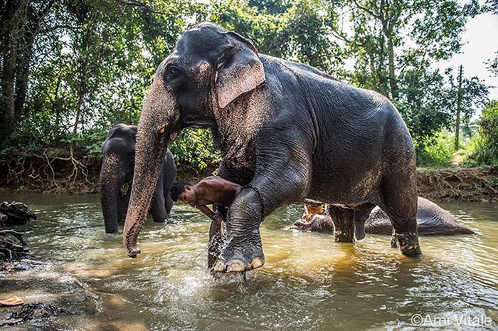 This Is Why You Need To Start Following National Geographic On Instagram Right Away (31 pics)