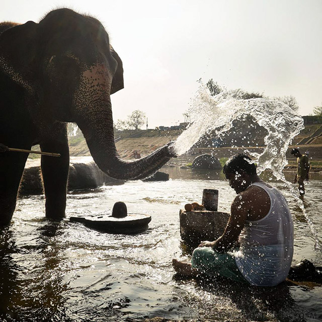 This Is Why You Need To Start Following National Geographic On Instagram Right Away (31 pics)