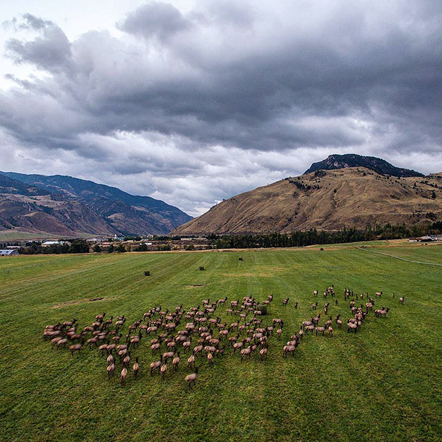 This Is Why You Need To Start Following National Geographic On Instagram Right Away (31 pics)