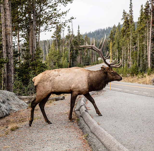 This Is Why You Need To Start Following National Geographic On Instagram Right Away (31 pics)