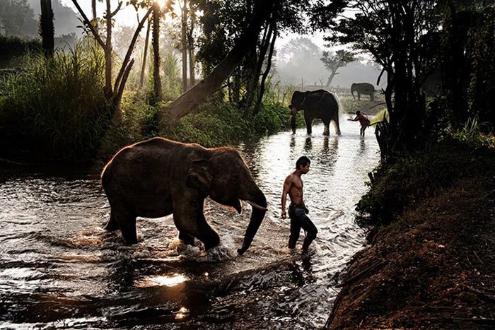 This Is Why You Need To Start Following National Geographic On Instagram Right Away (31 pics)