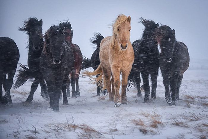 This Is Why You Need To Start Following National Geographic On Instagram Right Away (31 pics)