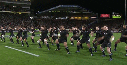 New Zealand's National Rugby Team Is Proof That Practice Really Can Make Perfect (10 gifs)