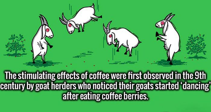 Expand Your Mind With These Unusual Facts (20 pics)