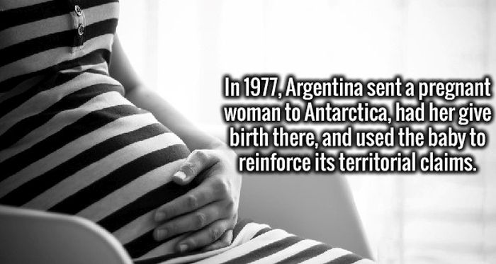 Expand Your Mind With These Unusual Facts (20 pics)