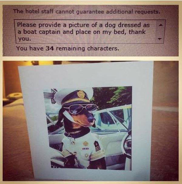 Hotels Around The World Actually Honor This Businessman's Ridiculous Requests (5 pics)