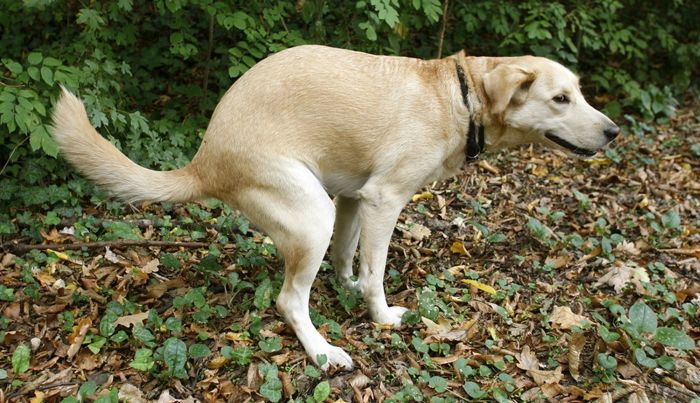 15 Horror Stories That Will Make You Think Twice About Saying Yes To Butt Stuff (15 pics)