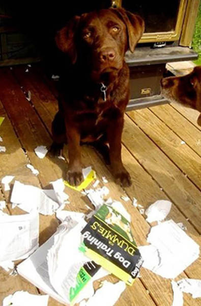 These Pictures Are Overloaded With Irony That Just Can't Be Ignored (40 pics)