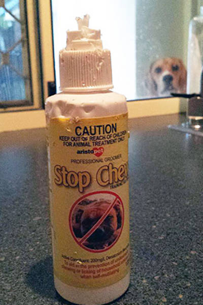 These Pictures Are Overloaded With Irony That Just Can't Be Ignored (40 pics)