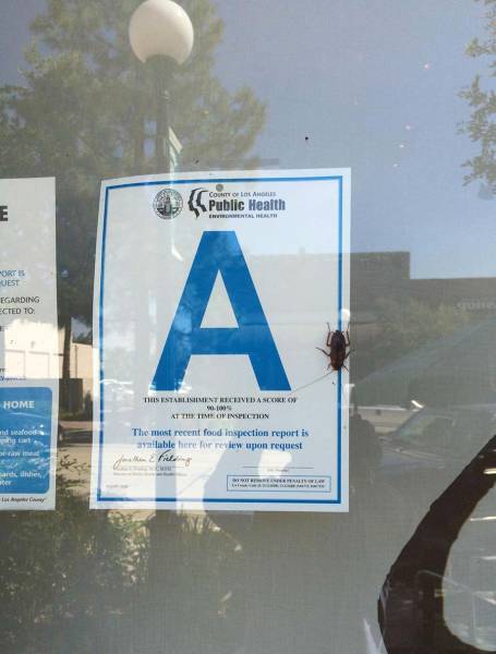 These Pictures Are Overloaded With Irony That Just Can't Be Ignored (40 pics)