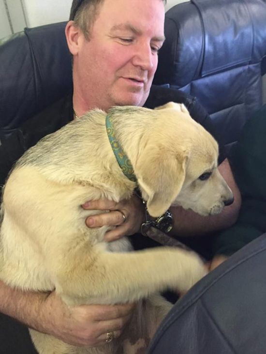 Canadian North Airlines Is Letting People Fly With Their Pets (9 pics)