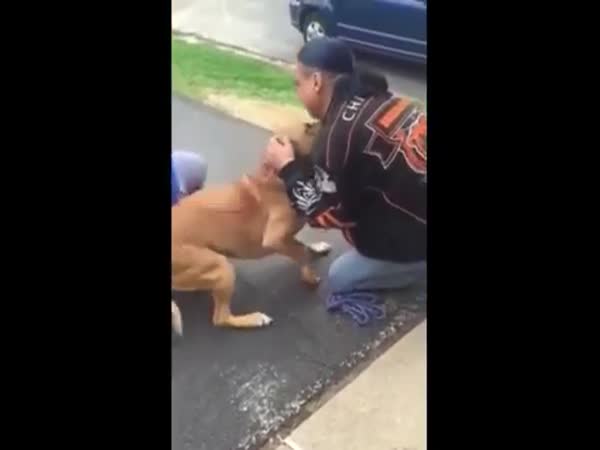 Man Finds His Stolen Dog After Two Years