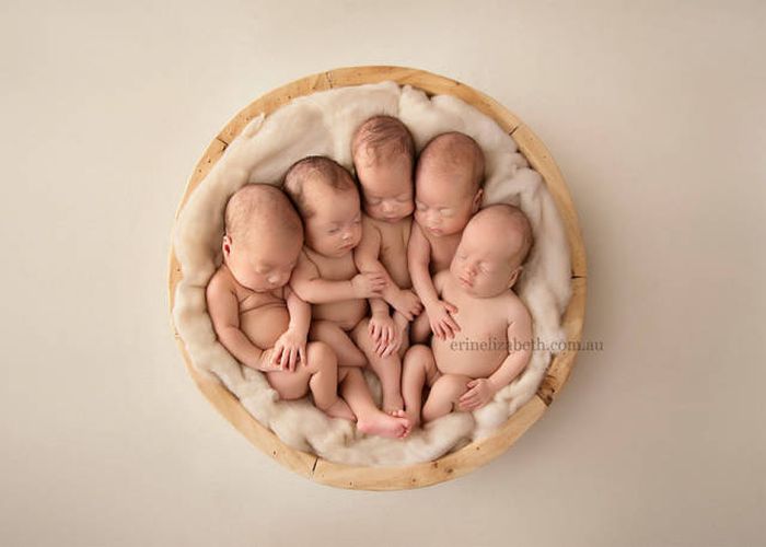 Baby Quintuplets Pose For The Most Adorable Photoshoot Ever (13 pics)