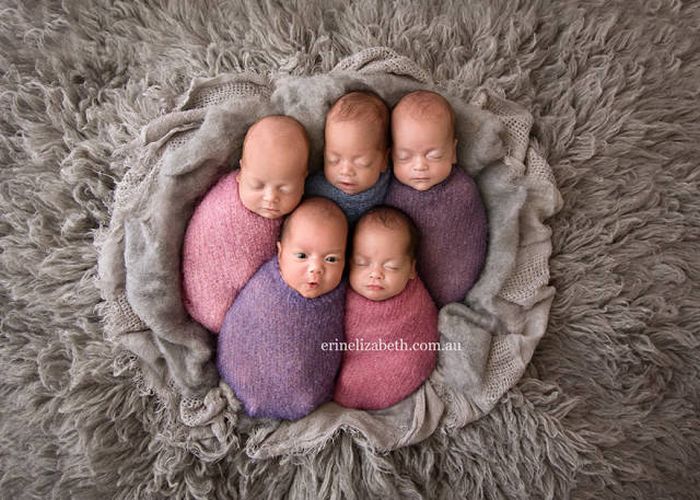 Baby Quintuplets Pose For The Most Adorable Photoshoot Ever (13 pics)