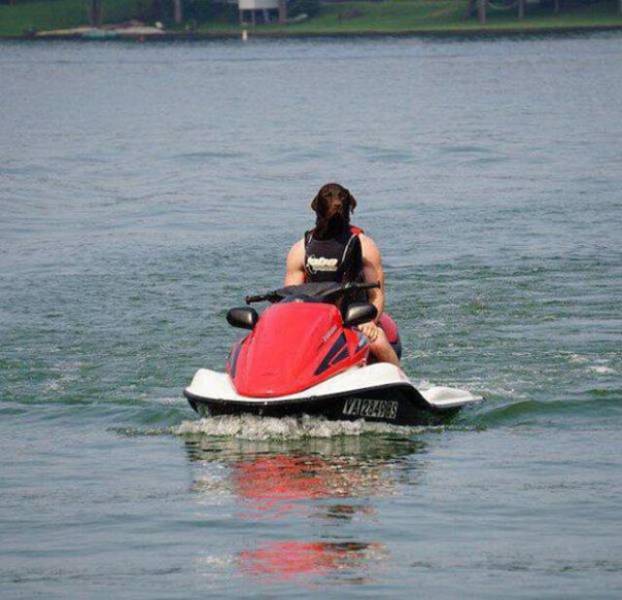 One Glance Isn't Going To Be Enough, You Have To Look Twice At These Pictures (43 pics)