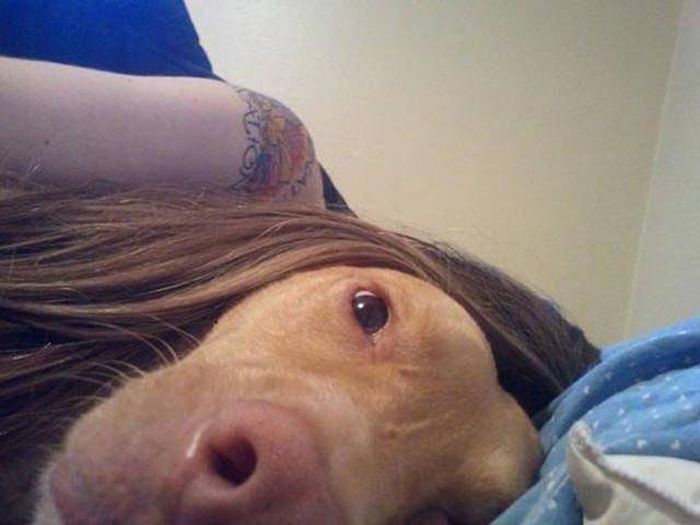One Glance Isn't Going To Be Enough, You Have To Look Twice At These Pictures (43 pics)