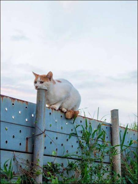 One Glance Isn't Going To Be Enough, You Have To Look Twice At These Pictures (43 pics)