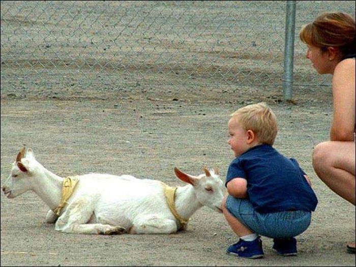 One Glance Isn't Going To Be Enough, You Have To Look Twice At These Pictures (43 pics)