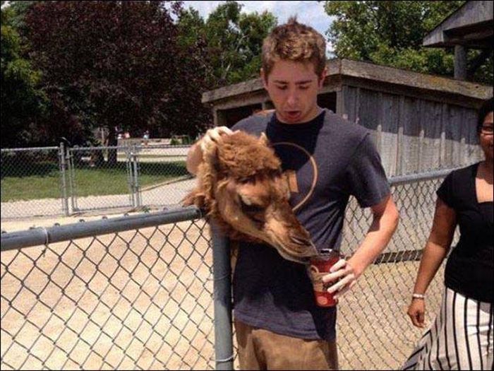 One Glance Isn't Going To Be Enough, You Have To Look Twice At These Pictures (43 pics)