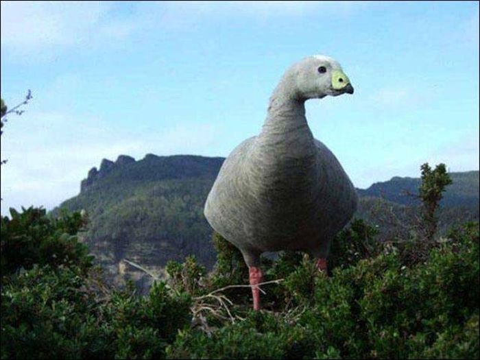 One Glance Isn't Going To Be Enough, You Have To Look Twice At These Pictures (43 pics)