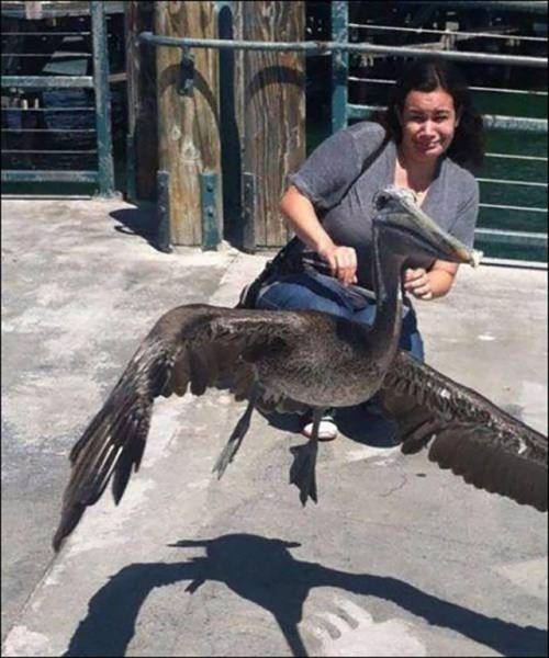One Glance Isn't Going To Be Enough, You Have To Look Twice At These Pictures (43 pics)