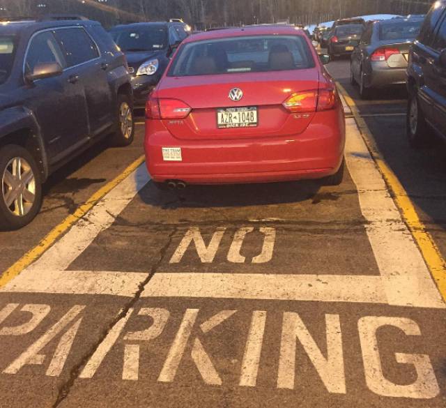I Do What I Want. Part 76 (47 pics)
