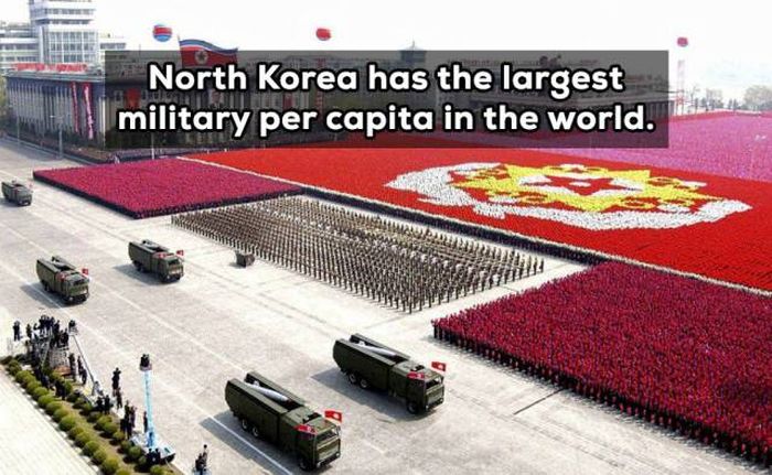 Crazy Facts About North Korea That You Need To Know (16 pics)