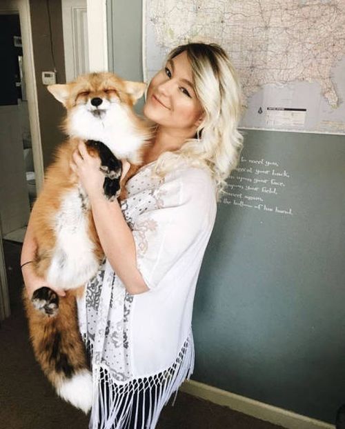A Pet Fox And A Dog Have Formed A Wonderful Friendship (11 pics)