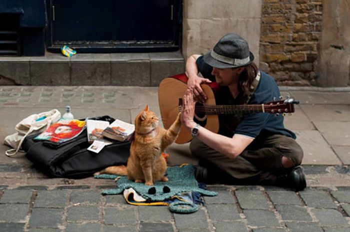 This Life Is Full So Many Wonderful Moments, Remember To Enjoy Them (43 pics)