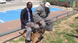 A Properly Trained Dog Could Save Your Life (2 gifs)