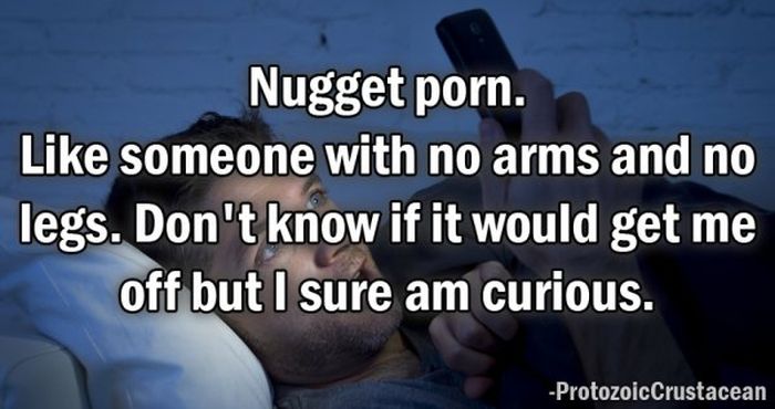 People Reveal The Strangest Things They've Searched For On Porn Sites (14 pics)
