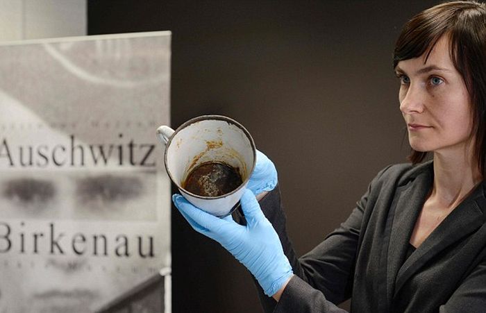 Hidden Treasure Discovered In A Mug At The Auschwitz Museum (7 pics)
