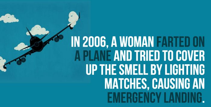 Fun And Shocking Facts That Will Brighten Your Day (30 pics)