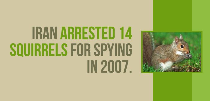 Fun And Shocking Facts That Will Brighten Your Day (30 pics)