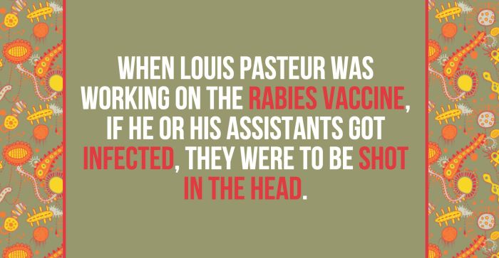 Fun And Shocking Facts That Will Brighten Your Day (30 pics)