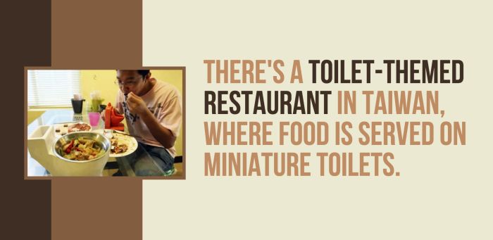 Fun And Shocking Facts That Will Brighten Your Day (30 pics)