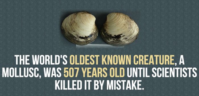 Fun And Shocking Facts That Will Brighten Your Day (30 pics)