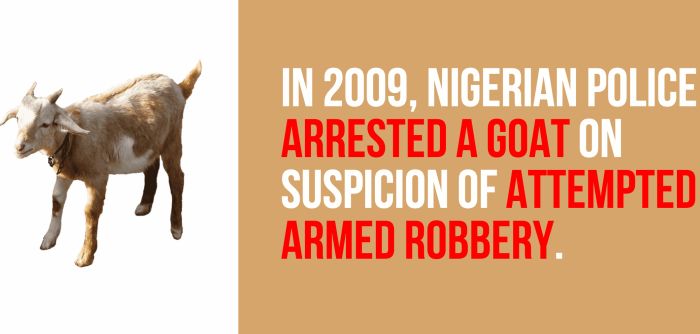 Fun And Shocking Facts That Will Brighten Your Day (30 pics)