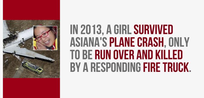 Fun And Shocking Facts That Will Brighten Your Day (30 pics)