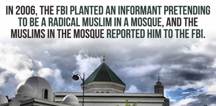 Fun And Shocking Facts That Will Brighten Your Day (30 pics)