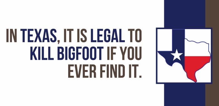 Fun And Shocking Facts That Will Brighten Your Day (30 pics)