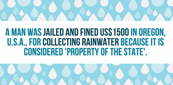 Fun And Shocking Facts That Will Brighten Your Day (30 pics)