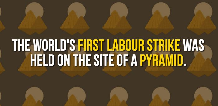 Fun And Shocking Facts That Will Brighten Your Day (30 pics)