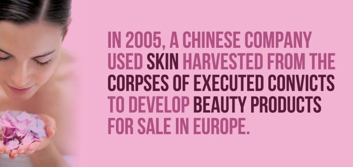 Fun And Shocking Facts That Will Brighten Your Day (30 pics)