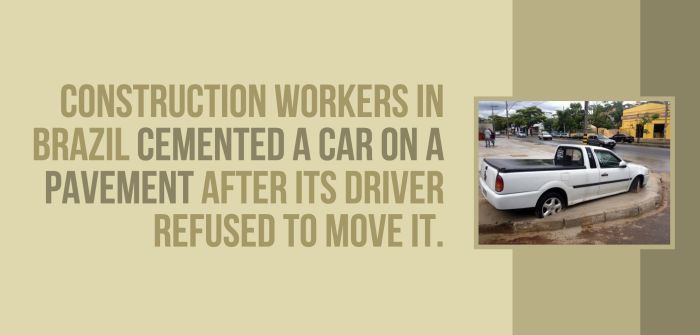 Fun And Shocking Facts That Will Brighten Your Day (30 pics)