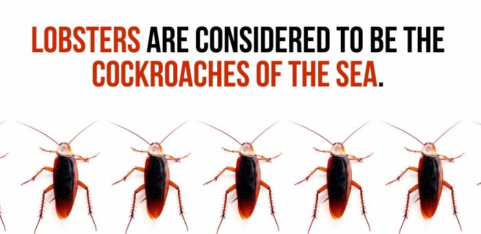 Fun And Shocking Facts That Will Brighten Your Day (30 pics)