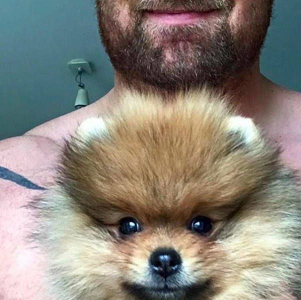 The Mountain From Game Of Thrones Adores His Tiny Little Dog (8 pics)
