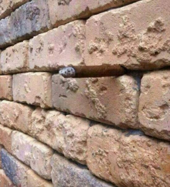See If You Can Spot The Optical Illusion That's Hiding In Plain Sight (5 pics)