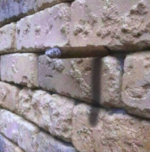 See If You Can Spot The Optical Illusion That's Hiding In Plain Sight (5 pics)